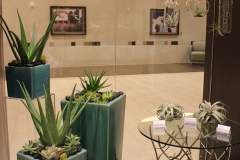 Pharmacy-Window-3